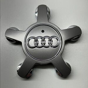 Audi Wheel Center Cap / Hub Cap in Metallic Gray - Brand New, 4F0.601.165.N